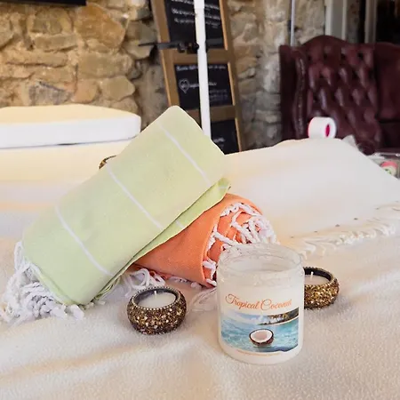Le De Valiere Piscine,spa Et Climatisation Holiday home